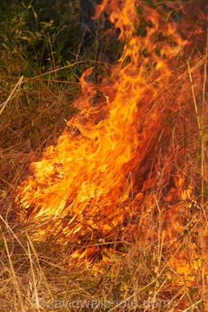 alight;Australasia;Australia;burn;burned;burning;burnoff;burnoffs;burns;burnt;bush-fire;bush-fires;danger;dangerous;destruction;fire;fires;flamable;flame;flames;flaming;grass-fire;grass-fires;Gregory-N.P;Gregory-National-Park;Gregory-NP;heat;hot;Jutpurra-N.P;Jutpurra-National-Park;Jutpurra-NP;N.T.;national-parks;Northern-Territory;NT;on-fire;orange;Top-End;Victoria-Highway;Victoria-River;wild-fire;wild-fires;wildfire;wildfires