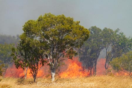 alight;Australasia;Australia;burn;burned;burning;burnoff;burnoffs;burns;burnt;bush-fire;bush-fires;danger;dangerous;destruction;fire;fires;flamable;flame;flames;flaming;grass-fire;grass-fires;heat;hot;N.T.;Northern-Territory;NT;on-fire;orange;Timber-Creek;Top-End;Victoria-Highway;wild-fire;wild-fires;wildfire;wildfires