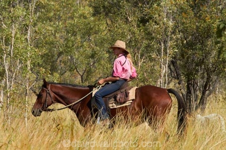 akubra;Australasia;Australia;Australian;Australian-Outback;back-country;backcountry;cattle-muster;cattle-mustering;cowgirl;cowgirls;horse;horseback;horses;muster;mustering;musters;N.T.;Northern-Territory;NT;Outback;Top-End;Victoria-Highway