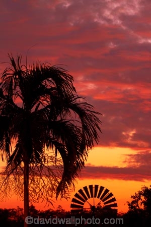 Australasia;Australia;dusk;Emerald-Springs-Road-House;Emerald-Springs-Roadhouse;evening;N.T.;nightfall;Northern-Territory;NT;orange;palm;palm-tree;palm-trees;palms;sky;sunset;sunsets;Top-End;twilight;wind_mill;wind_mills;windmill;windmills