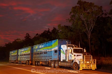 Australasia;Australia;cattle-truck;cattle-trucks;dusk;Emerald-Springs-Road-House;Emerald-Springs-Roadhouse;evening;highway;highways;juggernaut;juggernauts;lorries;lorry;N.T.;nightfall;Northern-Territory;NT;orange;road;road-train;road-trains;road_train;road_trains;roads;roadtrain;roadtrains;sky;Stuart-Highway;sunset;sunsets;Top-End;transport;transportation;truck;trucks;twilight;vehicle;vehicles