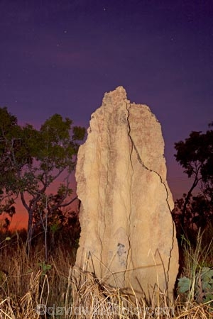 ant-hill;ant-hills;anthill;anthills;Australasia;Australia;Cathedral-mounds;Cathedral-Termite-mounds;dusk;evening;N.T.;nightfall;Northern-Territory;NT;orange;sky;star;stars;sunset;sunsets;termitaria;termite-colonies;termite-colony;termite-hill;termite-hills;termite-mound;termite-mounds;termite-nest;termite-nests;Top-End;twilight