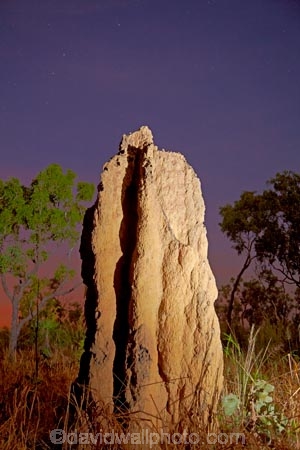 ant-hill;ant-hills;anthill;anthills;Australasia;Australia;Cathedral-mounds;Cathedral-Termite-mounds;dusk;evening;N.T.;nightfall;Northern-Territory;NT;orange;sky;star;stars;sunset;sunsets;termitaria;termite-colonies;termite-colony;termite-hill;termite-hills;termite-mound;termite-mounds;termite-nest;termite-nests;Top-End;twilight