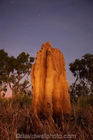 ant-hill;ant-hills;anthill;anthills;Australasia;Australia;Cathedral-mounds;Cathedral-Termite-mounds;dusk;evening;N.T.;nightfall;Northern-Territory;NT;orange;sky;star;stars;sunset;sunsets;termitaria;termite-colonies;termite-colony;termite-hill;termite-hills;termite-mound;termite-mounds;termite-nest;termite-nests;Top-End;twilight