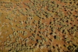 aerial;aerial-photo;aerial-photograph;aerial-photographs;aerial-photography;aerial-photos;aerial-view;aerial-views;aerials;Australia;Australian;eucalypt;eucalypts;eucalyptus;eucalytis;flood-plain;flood-plains;floodplain;floodplains;Gagadju;gum;gum-tree;gum-trees;gums;Kakadu;Kakadu-N.P.;Kakadu-National-Park;Kakadu-NP;N.T.;Northern-Territory;NT;Top-End;tree;trees;UN-world-heritage-area;UN-world-heritage-site;UNESCO-World-Heritage-area;UNESCO-World-Heritage-Site;united-nations-world-heritage-area;united-nations-world-heritage-site;wilderness;wilderness-area;wilderness-areas;world-heritage;world-heritage-area;world-heritage-areas;World-Heritage-Park;World-Heritage-site;World-Heritage-Sites