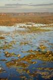 aerial;aerial-photo;aerial-photograph;aerial-photographs;aerial-photography;aerial-photos;aerial-view;aerial-views;aerials;Australia;Australian;billabong;billabongs;flood-plain;flood-plains;floodplain;floodplains;Gagadju;Kakadu;Kakadu-billabong;Kakadu-billabongs;Kakadu-flood-plain;Kakadu-flood-plains;Kakadu-floodplain;Kakadu-floodplains;Kakadu-N.P.;Kakadu-National-Park;Kakadu-NP;Kakadu-wetland;Kakadu-wetlands;Magela-Creek;Magela-Creek-System;Magela-Creek-Wetlands;Magela-Wetlands;N.T.;Northern-Territory;NT;rainy-season;seasonal;Top-End;UN-world-heritage-area;UN-world-heritage-site;UNESCO-World-Heritage-area;UNESCO-World-Heritage-Site;united-nations-world-heritage-area;united-nations-world-heritage-site;wet-season;wetland;wetlands;wilderness;wilderness-area;wilderness-areas;world-heritage;world-heritage-area;world-heritage-areas;World-Heritage-Park;World-Heritage-site;World-Heritage-Sites