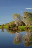 Australia;Australian;billabong;billabongs;calm;flood-plain;flood-plains;floodplain;floodplains;Gagadju;Gagudju-Dreaming;Kakadu;Kakadu-billabong;Kakadu-billabongs;Kakadu-flood-plain;Kakadu-flood-plains;Kakadu-floodplain;Kakadu-floodplains;Kakadu-N.P.;Kakadu-National-Park;Kakadu-NP;Kakadu-wetland;Kakadu-wetlands;N.T.;Northern-Territory;NT;placid;quiet;reflection;reflections;serene;smooth;still;Top-End;tranquil;tree;trees;UN-world-heritage-area;UN-world-heritage-site;UNESCO-World-Heritage-area;UNESCO-World-Heritage-Site;united-nations-world-heritage-area;united-nations-world-heritage-site;water;wetland;wetlands;world-heritage;world-heritage-area;world-heritage-areas;World-Heritage-Park;World-Heritage-site;World-Heritage-Sites;Yellow-Water;Yellow-Water-Billabong;Yellow-Water-Wetland;Yellow-Water-Wetlands