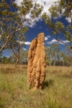 ant-hill;ant-hills;anthill;anthills;Australia;Australian;Cathedral-mounds;Cathedral-Termite-mounds;Gagadju;Kakadu;Kakadu-N.P.;Kakadu-National-Park;Kakadu-NP;N.T.;Northern-Territory;NT;termitaria;termite-colonies;termite-colony;termite-hill;termite-hills;termite-mound;termite-mounds;termite-nest;termite-nests;Top-End;UN-world-heritage-area;UN-world-heritage-site;UNESCO-World-Heritage-area;UNESCO-World-Heritage-Site;united-nations-world-heritage-area;united-nations-world-heritage-site;world-heritage;world-heritage-area;world-heritage-areas;World-Heritage-Park;World-Heritage-site;World-Heritage-Sites