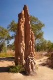 ant-hill;ant-hills;anthill;anthills;Australasia;Australia;Cathedral-mounds;Cathedral-Termite-mounds;Litchfield-N.P.;Litchfield-National-Park;Litchfield-NP;N.T.;Northern-Territory;NT;termitaria;termite-colonies;termite-colony;termite-hill;termite-hills;termite-mound;termite-mounds;termite-nest;termite-nests;Top-End