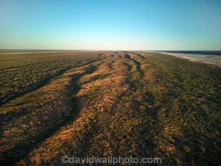 aerial;aerial-image;aerial-photo;aerial-photograph;aerial-photography;aerial-view;aerials;Drone;Drones;drone-aerial;Simpson-Desert;desert;deserts;Queensland;Simpson-Desert-National-Park;Simpson-Desert-NP;national-parks;Munga_Thirri-National-Park;Munga_Thirri-NP;Qld.;Australia;Australian;outback;outback-Australia;QAA;QAA-Line;QAA-track;dune;dunes;parallel-dunes;sand-dunes;sand;national-parks;QAA-track