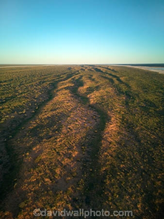 aerial;aerial-image;aerial-photo;aerial-photograph;aerial-photography;aerial-view;aerials;Drone;Drones;drone-aerial;Simpson-Desert;desert;deserts;Queensland;Simpson-Desert-National-Park;Simpson-Desert-NP;national-parks;Munga_Thirri-National-Park;Munga_Thirri-NP;Qld.;Australia;Australian;outback;outback-Australia;QAA;QAA-Line;QAA-track;dune;dunes;parallel-dunes;sand-dunes;sand;national-parks;QAA-track