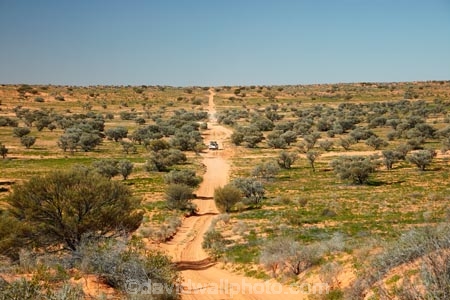 Australia;Australian;outback;outback-Australia;Simpson-Desert;Simpson-Desert;desert;deserts;Queensland;Simpson-Desert-National-Park;Simpson-Desert-NP;national-parks;The-QAA-Line;QAA-Line;sand-dune;sand;dune;dunes;track;four-wheel-drive-track;tracks;Munga_Thirri-National-Park;Munga_Thirri-NP;QAA-track
