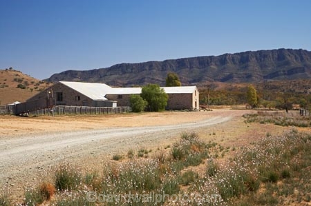 agricultural;agriculture;Arkaba-Woolshed;Australasian;Australia;Australian;Australian-Outback;back-country;backcountry;backwoods;building;buildings;country;countryside;farm;Farm-Building;Farm-Buildings;Farm-Shed;Farm-Sheds;farming;farmland;farms;Flinders-Ranges;heritage;historic;historic-building;historic-buildings;historical;historical-building;historical-buildings;history;old;Outback;Outback-Travel;remote;remoteness;rural;S.A.;SA;Shearing-Shed;Shearing-Sheds;Sheep-Shed;Sheep-Sheds;South-Australia;South-Flinders-Ranges;tradition;traditional;Wool-Shed;Wool-Sheds