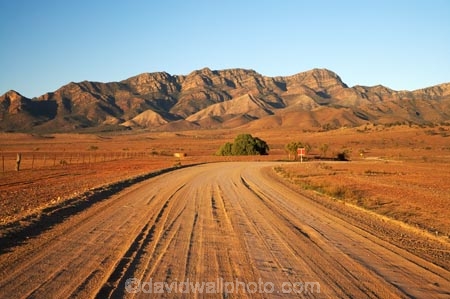 agricultural;agriculture;Australasian;Australia;Australian;Australian-Outback;back-country;backcountry;backwoods;country;countryside;dusty;farm;farming;farmland;farms;field;fields;Flinders-Ranges;Flinders-Ranges-N.P.;Flinders-Ranges-National-Park;Flinders-Ranges-NP;gravel-road;gravel-roads;meadow;meadows;metal-road;metal-roads;metalled-road;metalled-roads;national-park;national-parks;Outback;Outback-Travel;paddock;paddocks;pasture;pastures;remote;remoteness;road;roads;rural;S.A.;SA;South-Australia;South-Flinders-Ranges;Wilpena-Pound