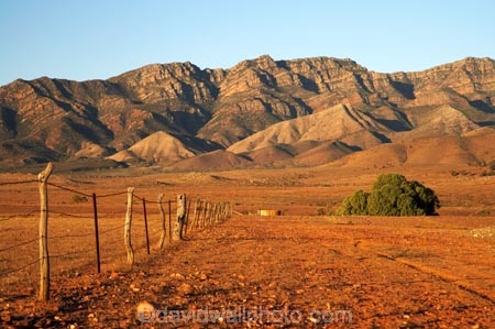 agricultural;agriculture;Australasian;Australia;Australian;Australian-Outback;back-country;backcountry;backwoods;country;countryside;farm;farming;farmland;farms;fence;fence-line;fence-lines;fence_line;fence_lines;fenceline;fencelines;fences;field;fields;Flinders-Ranges;Flinders-Ranges-N.P.;Flinders-Ranges-National-Park;Flinders-Ranges-NP;meadow;meadows;national-park;national-parks;Outback;Outback-Travel;paddock;paddocks;pasture;pastures;remote;remoteness;rural;S.A.;SA;South-Australia;South-Flinders-Ranges;Wilpena-Pound