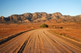 agricultural;agriculture;Australasian;Australia;Australian;Australian-Outback;back-country;backcountry;backwoods;country;countryside;dusty;farm;farming;farmland;farms;field;fields;Flinders-Ranges;Flinders-Ranges-N.P.;Flinders-Ranges-National-Park;Flinders-Ranges-NP;gravel-road;gravel-roads;meadow;meadows;metal-road;metal-roads;metalled-road;metalled-roads;national-park;national-parks;Outback;Outback-Travel;paddock;paddocks;pasture;pastures;remote;remoteness;road;roads;rural;S.A.;SA;South-Australia;South-Flinders-Ranges;Wilpena-Pound