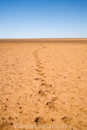 arid;Australasia;Australasian;Australia;Australian;Australian-Desert;Australian-Deserts;Australian-Outback;back-country;backcountry;backwoods;barren;country;countryside;desert;Deserts;dry;empty;flat;foot-print;foot-prints;foot_print;foot_prints;footprint;footprints;hot;Oodnadatta-Track;Outback;outback-travel;red-centre;remote;remoteness;rural;S.A.;SA;sand;South-Australia;track;tracks;vast