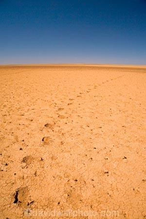 arid;Australasia;Australasian;Australia;Australian;Australian-Desert;Australian-Deserts;Australian-Outback;back-country;backcountry;backwoods;barren;country;countryside;desert;Deserts;dry;empty;flat;foot-print;foot-prints;foot_print;foot_prints;footprint;footprints;hot;Oodnadatta-Track;Outback;outback-travel;red-centre;remote;remoteness;rural;S.A.;SA;sand;South-Australia;track;tracks;vast