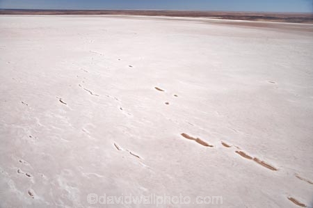 15-m-below-sea-level;aerial;aerial-photo;aerial-photography;aerial-photos;aerial-view;aerial-views;aerials;alkalii-flat;Australasian;Australia;Australian;Australian-Desert;Australian-Deserts;Australian-Outback;back-country;backcountry;backwoods;barren;barreness;basin;below-sea-level;Belt-Bay;bright;bright-white;dazzle;dazzling;depression;desert;deserts;desolate;dry;dry-lake;dry-lakes;empty;endorheric;endorheric-basin;endorheric-basins;endorheric-lake;extreme;flat;geographic;geography;glare;glary;hostile;huge;lake;lake-bed;lake-beds;Lake-Eyre-N.P.;Lake-Eyre-National-Park;Lake-Eyre-NP;lakes;national-park;national-parks;Oodnadatta-Track;Outback;pan;pans;playa;playas;remote;remoteness;S.A.;SA;sabkha;saline;salt;salt-crust;salt-lake;salt-lakes;salt-pan;salt-pans;salt-pattern;salt-patterns;salt_pan;salt_pans;saltpan;saltpans;salty;South-Australia;surface-pattern;surface-patterns;vast;white;white-surface;wilderness;worlds-largest-salt-lake