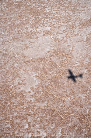 15-m-below-sea-level;aerial;aerial-photo;aerial-photography;aerial-photos;aerial-view;aerial-views;aerials;Aeroplane;Aeroplanes;Aircraft;Aircrafts;Airplane;Airplanes;alkalii-flat;Australasian;Australia;Australian;Australian-Desert;Australian-Deserts;Australian-Outback;aviation;back-country;backcountry;backwoods;barren;barreness;basin;below-sea-level;Belt-Bay;bright;bright-white;cessna;cessnas;dazzle;dazzling;depression;desert;deserts;desolate;dry;dry-lake;dry-lakes;empty;endorheric;endorheric-basin;endorheric-basins;endorheric-lake;extreme;flat;Flight;Flights;Fly;Flying;geographic;geography;glare;glary;hostile;huge;lake;lake-bed;lake-beds;Lake-Eyre-N.P.;Lake-Eyre-National-Park;Lake-Eyre-NP;lakes;national-park;national-parks;Oodnadatta-Track;Outback;pan;pans;plane;plane-shadow;Planes;playa;playas;remote;remoteness;S.A.;SA;sabkha;saline;salt;salt-crust;salt-lake;salt-lakes;salt-pan;salt-pans;salt-pattern;salt-patterns;salt_pan;salt_pans;saltpan;saltpans;salty;scale;shadow;shadows;South-Australia;surface-pattern;surface-patterns;vast;white;white-surface;wilderness;worlds-largest-salt-lake