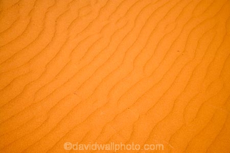 arid;Australasia;Australia;Australian;Australian-Desert;Australian-Deserts;Australian-Outback;back-country;backcountry;backwoods;country;countryside;desert;deserts;dry;dune;dunes;geographic;geography;outback;prints;red-centre;remote;remoteness;ripple;ripples;rock;rural;S.A.;SA;sand;sand-dune;sand-dunes;sand-hill;sand-hills;sand-ripple;sand-ripples;sand_dune;sand_dunes;sand_hill;sand_hills;sanddune;sanddunes;sandhill;sandhills;sandy;South-Australia;Strezlecki-Track;Strezleki-Track;Strzelecki-Track;wilderness;wind-ripple;wind-ripples