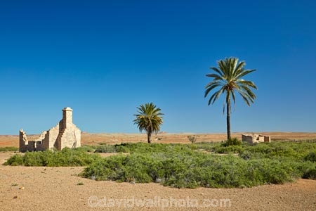 South-Australia;SA;S.A.;Australia;Australian;outback;outback-Australia;Simpson-Desert;desert;deserts;Dalhousie-Homestead-Ruins;Dalhousie-Ruins;Dalhousie-Station-Ruins;Derelict;abandon;abandoned;building;buildings;dereliction;deserted;relic;relics;ruin;ruins;run-down;rustic;Witjira-National-Park;Witjira-N.P.;Witjira-NP;palm;palm-tree;palm-trees;tree;palms;national-parks