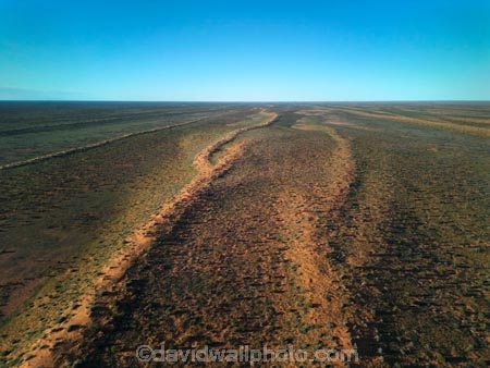 aerial;aerial-image;aerial-photo;aerial-photograph;aerial-photography;aerial-view;aerials;Drone;Drones;drone-aerial;Simpson-Desert;desert;deserts;Munga_Thirri–Simpson-Desert-National-Park;Munga_Thirri–Simpson-Desert-Conservation-Park;Simpson-Desert-Conservation-Park;Simpson-Desert-National-Park;Munga_Thirri–Simpson-Desert-NP;French-Line;The-French-Line;sand-dune;sand;dune;dunes;The-French-Line;dune;dunes;parallel-dunes;sand-dunes;sand;national-parks;South-Australia;SA;S.A.;Australia;Australian;outback;outback-Australia