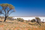 alkalii-flat;arid;Australasia;Australasian;Australia;Australian;Australian-Desert;Australian-Deserts;Australian-Outback;back-country;backcountry;backwoods;basin;bright;bright-white;country;countryside;dazzle;dazzling;Desert;deserts;desolate;dry;dry-lake;dry-lakes;endorheric;endorheric-basin;endorheric-basins;endorheric-lake;extreme;flat;geographic;geography;glare;glary;hostile;lake;lake-bed;lake-beds;Lake-Hart;lakes;Outback;pan;pans;playa;playas;red-centre;remote;remoteness;rock;rural;S.A.;SA;sabkha;saline;salt;salt-crust;salt-lake;salt-lakes;salt-pan;salt-pans;salt_pan;salt_pans;saltpan;saltpans;salty;sand;South-Australia;Stuart-Highway;white;wilderness;Woomera-Prohibited-Area