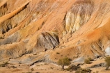 arid;Arkaringa;Arkaringa-Hills;Australasia;Australia;Australian;Australian-Desert;Australian-Deserts;Australian-Outback;back-country;backcountry;backwoods;badlands;burnt;color;colorful;colour;colourful;country;countryside;Desert;Deserts;desolate;dry;eroded;erosion;geographic;geography;harsh;hot;landscape;landscapes;Oodnadata;Oodnadatta;outback;Painted-Desert;parched;red-centre;remote;remoteness;rock;rural;S.A.;SA;sand;scorched;South-Australia;stone;The-Painted-Desert;weathered;wilderness