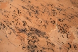 aerial;aerial-photo;aerial-photography;aerial-photos;aerial-view;aerial-views;aerials;arid;Australasia;Australasian;Australia;Australian;Australian-Desert;Australian-Deserts;Australian-Outback;back-country;backcountry;backwoods;burnt;country;countryside;dead-tree;dead-trees;Desert;deserts;dry;geographic;geography;ochre;Oodnadatta-Track;Outback;oxidised;red-centre;remote;remoteness;rock;rural;S.A.;SA;sand;scorched;South-Australia;wilderness;William-Creek