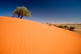 arid;Australasia;Australia;Australian;Australian-Desert;Australian-Deserts;Australian-Outback;back-country;backcountry;backwoods;Bollards-Lagoon-Road;country;countryside;desert;deserts;dry;dune;dunes;geographic;geography;outback;prints;red-centre;remote;remoteness;ripple;ripples;rock;rural;S.A.;SA;sand;sand-dune;sand-dunes;sand-hill;sand-hills;sand-ripple;sand-ripples;sand_dune;sand_dunes;sand_hill;sand_hills;sanddune;sanddunes;sandhill;sandhills;sandy;South-Australia;Strezlecki-Track;Strezleki-Track;Strzelecki-Track;wilderness;wind-ripple;wind-ripples