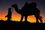 Innamincka;Strzeleki-Track;South-Australia;Australia;Australian;outback;outback-Australia;art;artwork;artworks;sculpture;sculptures;silhouette;silhouettes;dusk;evening;nightfall;orange;sky;sunset;sunsets;twilight;man;cowboy;cowboys;camel;camel;Strzelecki-Track