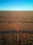 aerial;aerial-image;aerial-photo;aerial-photograph;aerial-photography;aerial-view;aerials;Drone;Drones;drone-aerial;Simpson-Desert;desert;deserts;Munga_Thirri–Simpson-Desert-National-Park;Munga_Thirri–Simpson-Desert-Conservation-Park;Simpson-Desert-Conservation-Park;Simpson-Desert-National-Park;Munga_Thirri–Simpson-Desert-NP;French-Line;The-French-Line;sand-dune;sand;dune;dunes;track;four-wheel-drive-track;tracks;The-French-Line;dune;dunes;parallel-dunes;sand-dunes;sand;track;4wd-track;tracks;four-wheel-drive-track;national-parks;South-Australia;SA;S.A.;Australia;Australian;outback;outback-Australia