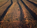 aerial;aerial-image;aerial-photo;aerial-photograph;aerial-photography;aerial-view;aerials;Drone;Drones;drone-aerial;Simpson-Desert;desert;deserts;Munga_Thirri–Simpson-Desert-National-Park;Munga_Thirri–Simpson-Desert-Conservation-Park;Simpson-Desert-Conservation-Park;Simpson-Desert-National-Park;Munga_Thirri–Simpson-Desert-NP;French-Line;The-French-Line;sand-dune;sand;dune;dunes;track;four-wheel-drive-track;tracks;The-French-Line;dune;dunes;parallel-dunes;sand-dunes;sand;track;4wd-track;tracks;four-wheel-drive-track;national-parks;South-Australia;SA;S.A.;Australia;Australian;outback;outback-Australia