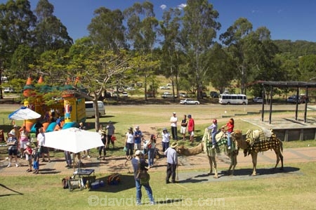 australasia;Australia;australian;bouncy-castle;camel;camels;Eumundi;eumundi-market;eumundi-markets;market;markets;Queensland;Sunshine-Coast