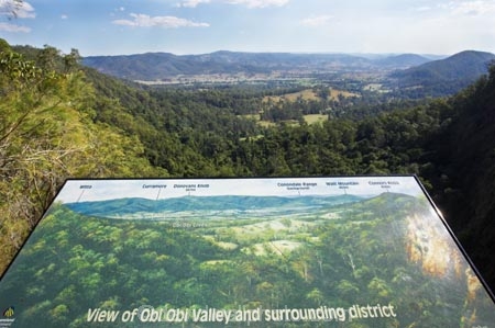 australasia;Australia;australian;bush;forest;forests;green;Hinterland;lush;Mapleton-Falls-National-Park;natural;nature;Obi-Obi-Valley;palm;palms;Queensland;rain-forest;rain-forests;rain_forest;rain_forests;rainforest;rainforests;rainy;Sunshine-Coast;tree;trees;valleys;view;views;wilderness;woods
