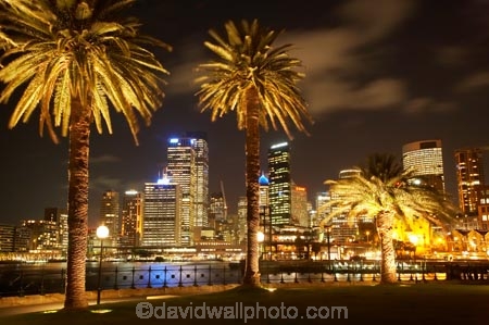Australasia;Australia;Australian;c.b.d.;cbd;central-business-district;cities;city;cityscape;cityscapes;dark;electricity-consumption;energy-consumption;energy-efficiency;energy-inefficiency;evening;high-rise;high-rises;high_rise;high_rises;highrise;highrises;light;lights;multi_storey;multi_storied;multistorey;multistoried;N.S.W.;New-South-Wales;night;night-time;night_time;nightfall;NSW;office;office-block;office-blocks;offices;Palm;Palm-Tree;Palm-Trees;Palms;power-consumption;sky-scraper;sky-scrapers;sky_scraper;sky_scrapers;skyscraper;skyscrapers;Sydney;Sydney-Cove;The-Rocks;tower-block;tower-blocks;Tree;Trees