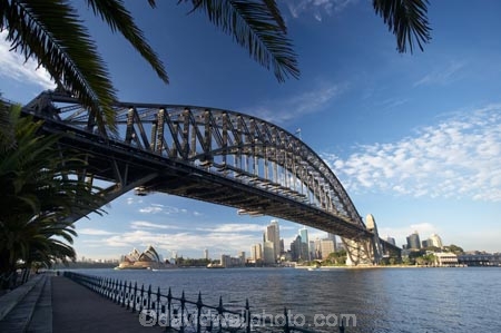 architectural;architecture;Australasia;Australia;Bennelong-Point;bridge;bridges;c.b.d.;cbd;central-business-district;cities;city;cityscape;cityscapes;icon;iconic;icons;Kirribilli;landmark;landmarks;Milsons-Point;N.S.W.;New-South-Wales;NSW;Olympic-Dr;Olympic-Drive;Opera-House;palm-tree;palm-trees;railing;railings;structure;structures;Sydney;Sydney-Harbor;Sydney-Harbor-Bridge;Sydney-Harbour;Sydney-Harbour-Bridge;Sydney-Opera-House