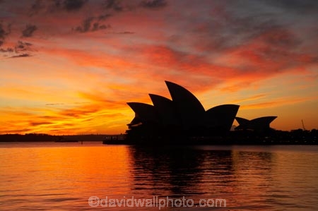 architectural;architecture;Australasia;Australia;Bennelong-Point;break-of-day;calm;dawn;dawning;daybreak;first-light;icon;iconic;icons;landmark;landmarks;morning;N.S.W.;New-South-Wales;NSW;Opera-House;orange;placid;quiet;reflection;reflections;serene;silhouette;silhouettes;sky;smooth;still;sunrise;sunrises;sunup;Sydney;Sydney-Cove;Sydney-Harbor;Sydney-Harbour;Sydney-Opera-House;tranquil;twilight;water