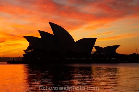 architectural;architecture;Australasia;Australia;Bennelong-Point;break-of-day;calm;dawn;dawning;daybreak;first-light;icon;iconic;icons;landmark;landmarks;morning;N.S.W.;New-South-Wales;NSW;Opera-House;orange;placid;quiet;reflection;reflections;serene;silhouette;silhouettes;sky;smooth;still;sunrise;sunrises;sunup;Sydney;Sydney-Cove;Sydney-Harbor;Sydney-Harbour;Sydney-Opera-House;tranquil;twilight;water