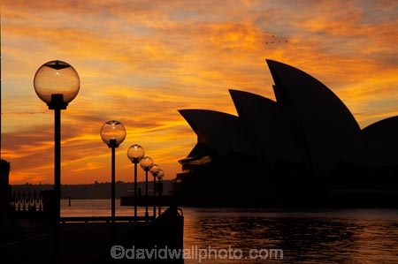 architectural;architecture;Australasia;Australia;Bennelong-Point;break-of-day;dawn;dawning;daybreak;first-light;globe;globes;icon;iconic;icons;lamp;lamps;landmark;landmarks;morning;N.S.W.;New-South-Wales;NSW;Opera-House;orange;silhouette;silhouettes;street-lamp;street-lamps;street-light;street-lighting;street-lights;sunrise;sunrises;sunup;Sydney;Sydney-Cove;Sydney-Harbor;Sydney-Harbour;Sydney-Opera-House;twilight