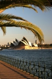 sydney;cove;harbour;harbours;harbors;harbor;icon;icons;australian;landmark;landmarks;palm;palms;footpath;sidewalk;fence;rail;railing;opera-house;opera;house;australia