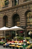 Flower;flowers;Stall;stalls;Martin;Place;CBD;c.b.d.;Sydney;Australia
