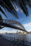 architectural;architecture;Australasia;Australia;Bennelong-Point;bridge;bridges;c.b.d.;cbd;central-business-district;cities;city;cityscape;cityscapes;icon;iconic;icons;Kirribilli;landmark;landmarks;Milsons-Point;N.S.W.;New-South-Wales;NSW;Olympic-Dr;Olympic-Drive;Opera-House;palm-tree;palm-trees;railing;railings;structure;structures;Sydney;Sydney-Harbor;Sydney-Harbor-Bridge;Sydney-Harbour;Sydney-Harbour-Bridge;Sydney-Opera-House