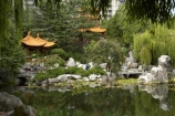 Australasia;Australia;Chinese-Garden;Chinese-Gardens;Darling-Harbour;garden;gardens;N.S.W.;New-South-Wales;NSW;pond;ponds;pool;pools;Sydney;water;willow;willow-tree;willow-trees;willows