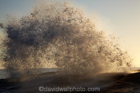 Australasian;Australia;Australian;Bicheno;big-splash;blow-hole;blow-holes;blow_hole;blow_holes;blowhole;blowholes;coast;coastal;coastline;coastlines;coasts;East-Tasmania;Eastern-Tasmania;foreshore;Island-of-Tasmania;large-splash;ocean;sea;shore;shoreline;shorelines;shores;splash;splashes;splashing;spray;State-of-Tasmania;Tas;Tasmania;vent;vent_hole;venthole;water;wave;waves