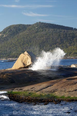 Australasian;Australia;Australian;Bicheno;big-splash;blow-hole;blow-holes;blow_hole;blow_holes;blowhole;blowholes;coast;coastal;coastline;coastlines;coasts;East-Tasmania;Eastern-Tasmania;foreshore;geological;geology;Island-of-Tasmania;large-splash;ocean;rock;rock-formation;rock-formations;rock-outcrop;rock-outcrops;rocks;sea;shore;shoreline;shorelines;shores;splash;splashes;splashing;spray;State-of-Tasmania;stone;Tas;Tasmania;vent;vent_hole;venthole;water;wave;waves
