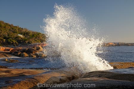 Australasian;Australia;Australian;Bicheno;big-splash;blow-hole;blow-holes;blow_hole;blow_holes;blowhole;blowholes;coast;coastal;coastline;coastlines;coasts;East-Tasmania;Eastern-Tasmania;foreshore;Island-of-Tasmania;large-splash;ocean;sea;shore;shoreline;shorelines;shores;splash;splashes;splashing;spray;State-of-Tasmania;Tas;Tasmania;vent;vent_hole;venthole;water;wave;waves