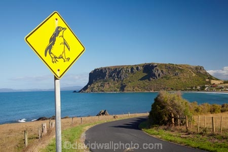 Australasian;Australia;Australian;Bass-Strait;Circular-Head;headland;headlands;Island-of-Tasmania;lava-neck;lava-necks;North-Western-Tasmania;North-WestTasmania;Northern-Tasmania;Northwestern-Tasmania;NorthwestTasmania;penguiin;penguins;Penquin-Sign;Penquin-Signs;Penquin-Warning-Sign;promontories;promontory;road-sign;road-signs;sign;signs;Stanley;Stanley-Peninsula;State-of-Tasmania;Tas;Tasmania;The-North;The-Nut;volcanic-neck;volcanic-necks;volcanic-plug;volcanic-plugs;warning-sign;warning-signs;wildlife;wildlife-sign;wildlife-signs