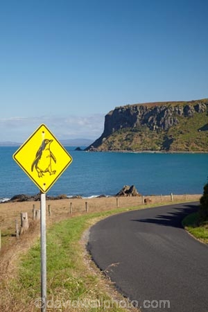 Australasian;Australia;Australian;Bass-Strait;Circular-Head;headland;headlands;Island-of-Tasmania;lava-neck;lava-necks;North-Western-Tasmania;North-WestTasmania;Northern-Tasmania;Northwestern-Tasmania;NorthwestTasmania;penguiin;penguins;Penquin-Sign;Penquin-Signs;Penquin-Warning-Sign;promontories;promontory;road-sign;road-signs;sign;signs;Stanley;Stanley-Peninsula;State-of-Tasmania;Tas;Tasmania;The-North;The-Nut;volcanic-neck;volcanic-necks;volcanic-plug;volcanic-plugs;warning-sign;warning-signs;wildlife;wildlife-sign;wildlife-signs